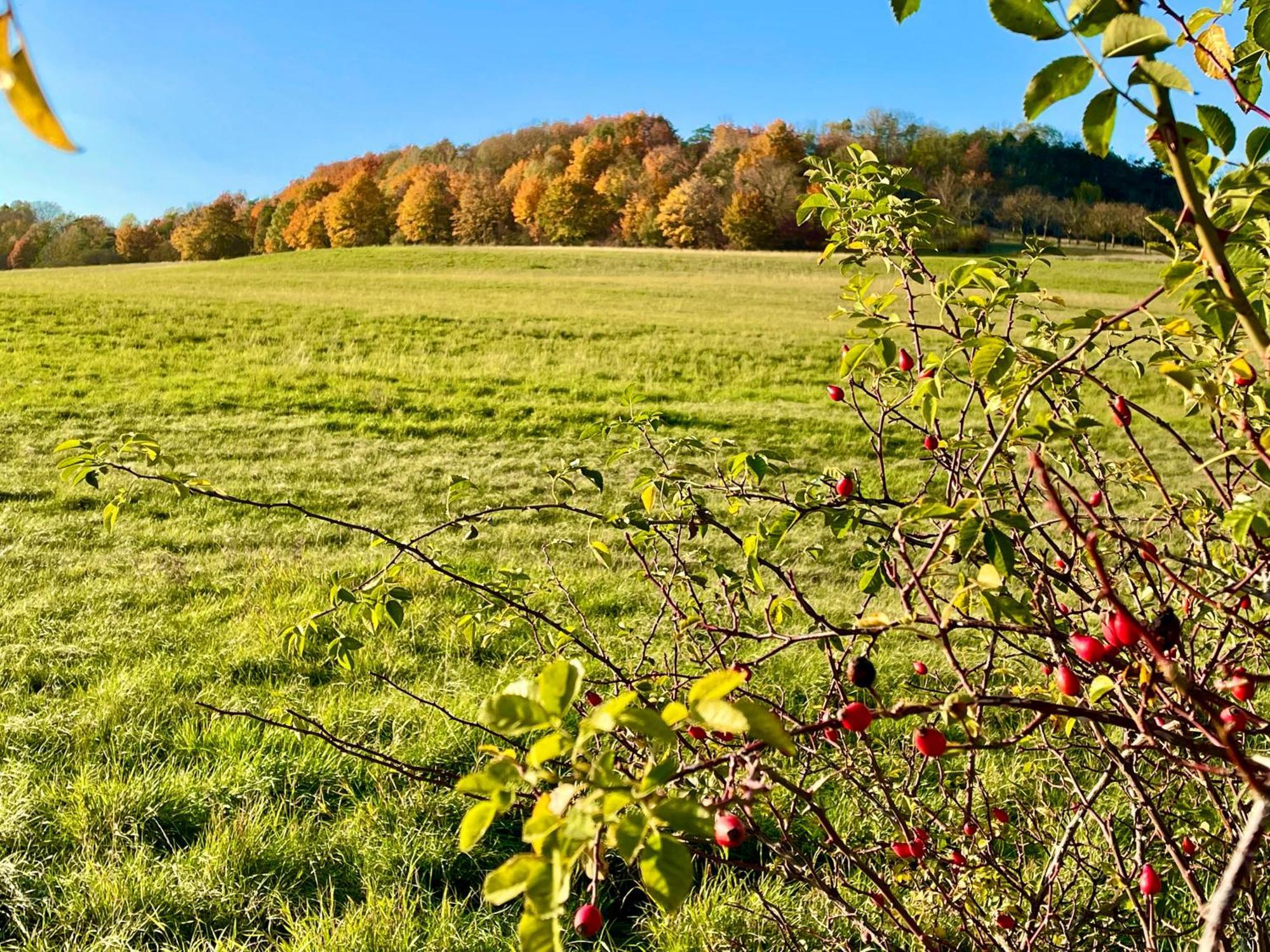 Ferienwohnung Im Himmelreich Jena Zewnętrze zdjęcie
